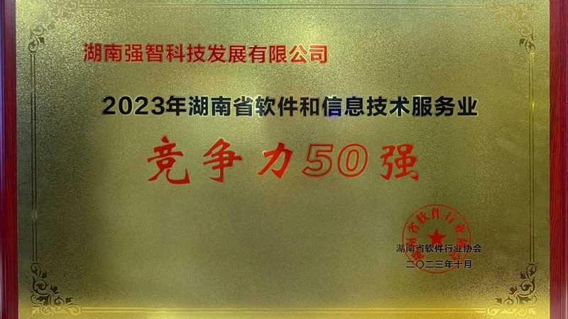 北京信息技术服务公司评分背后的考量因素